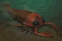 Bọ cạp biển khổng lồ đã tuyệt chủng thình lình xuất hiện ở Úc