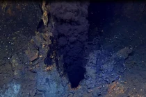 Phát hiện sinh vật từ “thế giới bị quên lãng” tồn tại ngoài Trái Đất