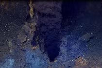 Phát hiện sinh vật từ “thế giới bị quên lãng” tồn tại ngoài Trái Đất