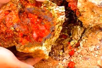 Tảng đá kỳ lạ, đỏ như máu nhưng là “kho báu” vô song 