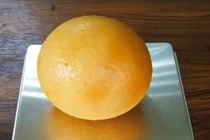 Làm thịt gà mái 5 năm không đẻ, chủ kinh ngạc khi thấy “báu vật“