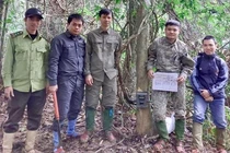 Đặt “bẫy ảnh”, bất ngờ phát hiện động vật siêu hiếm tại VQG Vũ Quang