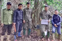 Đặt “bẫy ảnh”, bất ngờ phát hiện động vật siêu hiếm tại VQG Vũ Quang