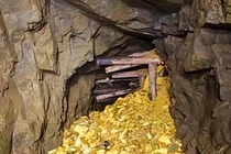 Lên núi hái thuốc, vô tình đụng trúng kho vàng khổng lồ thời nhà Minh