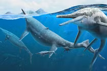 "Quái ngư” 250 triệu tuổi bất ngờ xuất hiện, lịch sử phải viết lại? 