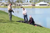 Đang đi dạo, cụ bà bất ngờ bị cá sấu kéo xuống hồ nước