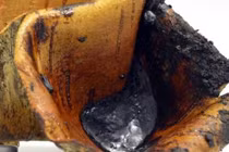 Phát hiện lò hắc ín 200.000 năm, hé lộ sự thật chấn động 