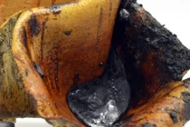 Phát hiện lò hắc ín 200.000 năm, hé lộ sự thật chấn động 