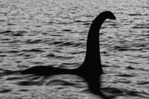 Đi dạo, rùng mình đụng trúng... “quái vật hồ Loch Ness" dạt vào bờ