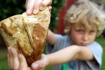 Vô tình nhặt được “kho báu" trên biển, cậu bé đổi đời trong nháy mắt 