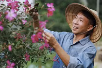 NSƯT Việt Hoàn: Sẽ giã từ sân khấu ở tuổi 60