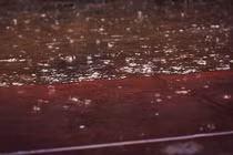 Cơn “mưa máu” bất ngờ dội xuống Trái Đất, giật mình lời giải 