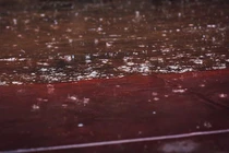 Cơn “mưa máu” bất ngờ dội xuống Trái Đất, giật mình lời giải 