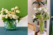 Chốt mua căn nhà căn thứ hai sau lần đến thăm bạn