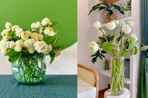 Chốt mua căn nhà căn thứ hai sau lần đến thăm bạn