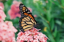 Tai ương qua đi: 3 con giáp chuyển vận lành, tháng 7 viên mãn