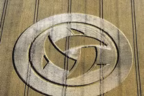 Bí ẩn vòng tròn trên cánh đồng nghi dính líu người ngoài hành tinh