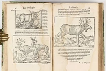 Nhũn não với những cuốn sách bí ẩn nhất mọi thời đại