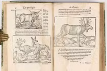 Nhũn não với những cuốn sách bí ẩn nhất mọi thời đại