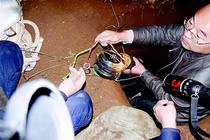 Mở mộ cổ 2.200 năm, chuyên gia hô lớn: “Gọi cảnh sát ngay!"