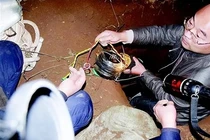 Mở mộ cổ 2.200 năm, chuyên gia hô lớn: “Gọi cảnh sát ngay!"