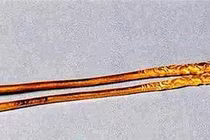 Đào đất tìm được đôi đũa lạ, không ngờ là “bảo vật” hàng tỷ đồng