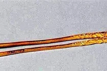 Đào đất tìm được đôi đũa lạ, không ngờ là “bảo vật” hàng tỷ đồng