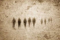 Kinh ngạc bằng chứng sống: Chúng ta là con lai của “loài người ma“