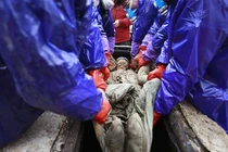 Mở mộ cổ 700 tuổi, “tái mặt” thấy chất lỏng màu nâu quanh xác ướp