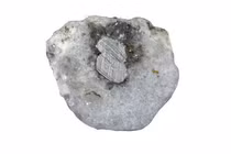 Tia sét lạ đánh xuống Trái Đất, xuất hiện thứ “không thể tồn tại”