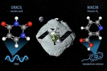 “Bản thiết kế” sự sống hé lộ “quê hương” thực sự của Trái Đất