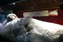 Rùng mình xác ướp 300 năm bất ngờ mở mắt nhìn du khách