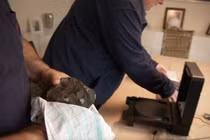 Ngồi uống cafe, bất ngờ nhặt được “báu vật” từ trên trời rơi xuống