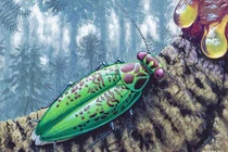 Bất ngờ quái vật cổ đại hiện về nguyên vẹn trong khối hổ phách