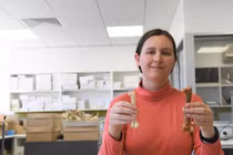 Hóa thạch 700.000 năm tuổi tiết lộ loài đại bàng lớn nhất hành tinh