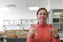 Hóa thạch 700.000 năm tuổi tiết lộ loài đại bàng lớn nhất hành tinh