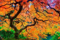 Tháng 7 cô hồn, 5 con giáp nhiều trắc trở, sống tốt sẽ vượt qua