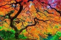 Tháng 7 cô hồn, 5 con giáp nhiều trắc trở, sống tốt sẽ vượt qua