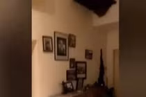 Nghe tiếng động lớn, sửng sốt thấy “quái thú” khổng lồ trong phòng ăn 