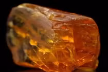 Đào giếng đụng trúng “kho báu” khủng, cả nhà đổi đời sau một đêm 