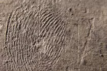 Mở mộ Tần Thủy Hoàng, “đứng hình” vân tay 2.000 năm trên tượng lạ