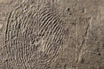 Mở mộ Tần Thủy Hoàng, “đứng hình” vân tay 2.000 năm trên tượng lạ