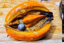 Đang ăn vẹm đỏ, mừng hụt tưởng vớ bẫm “báu vật” đắt đỏ