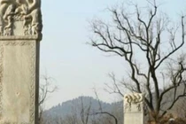 Vì sao thấy 8 chữ trên bia, Càn Long dừng dời mộ Vạn Quý phi?