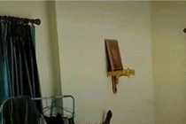 Chủ nhà thất kinh khi hổ mang chúa “khủng” mò vào nhà