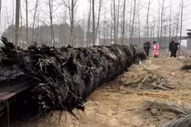 Nguồn nước của làng bỗng cạn kiệt, chuyên gia phán: "Do báu vật trăm tỷ"