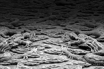 Ngã ngửa cách người xưa di chuyển trăm tấn đá về xây Tử Cấm Thành