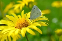 Ai sinh tháng Âm lịch này năm nay vận trình suôn sẻ, kiếm tiền đỉnh