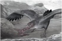 Chân dung loài “hải âu quái vật”, nỗi ám ảnh thời cổ đại 