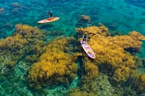 Khám phá “thiên đường biển đảo” Bình Định